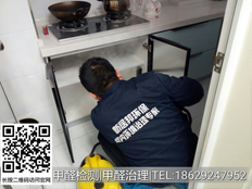 專業甲醛治理